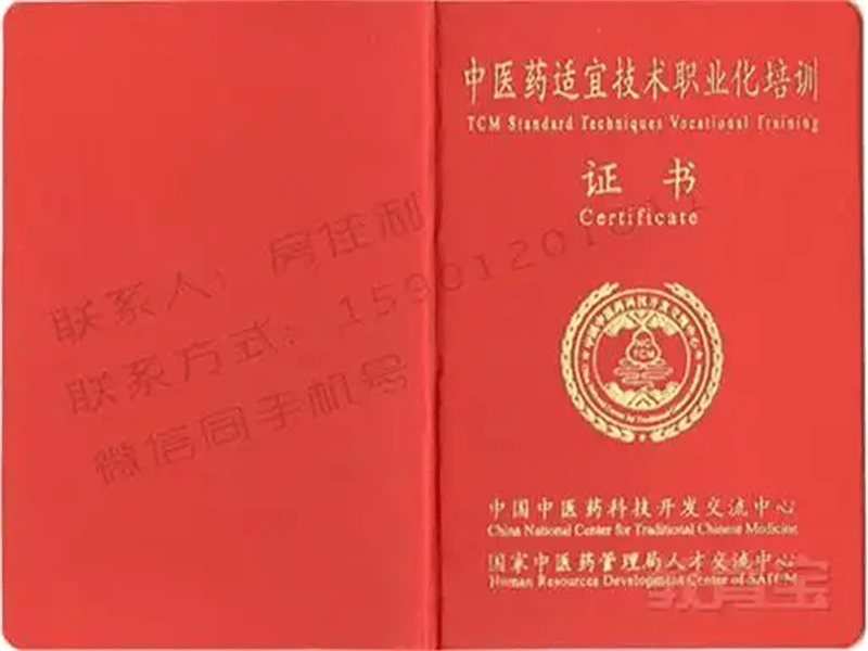环保公益志愿者证书